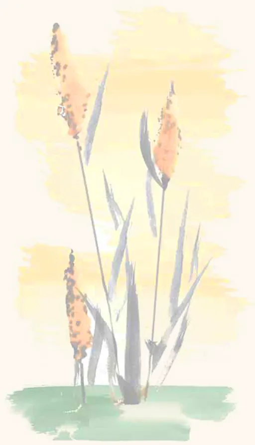 Tagebuch-mit-Aquarellen-illustriert001 Tagebuecher bringen Ruhe und Harmonie ins Leben