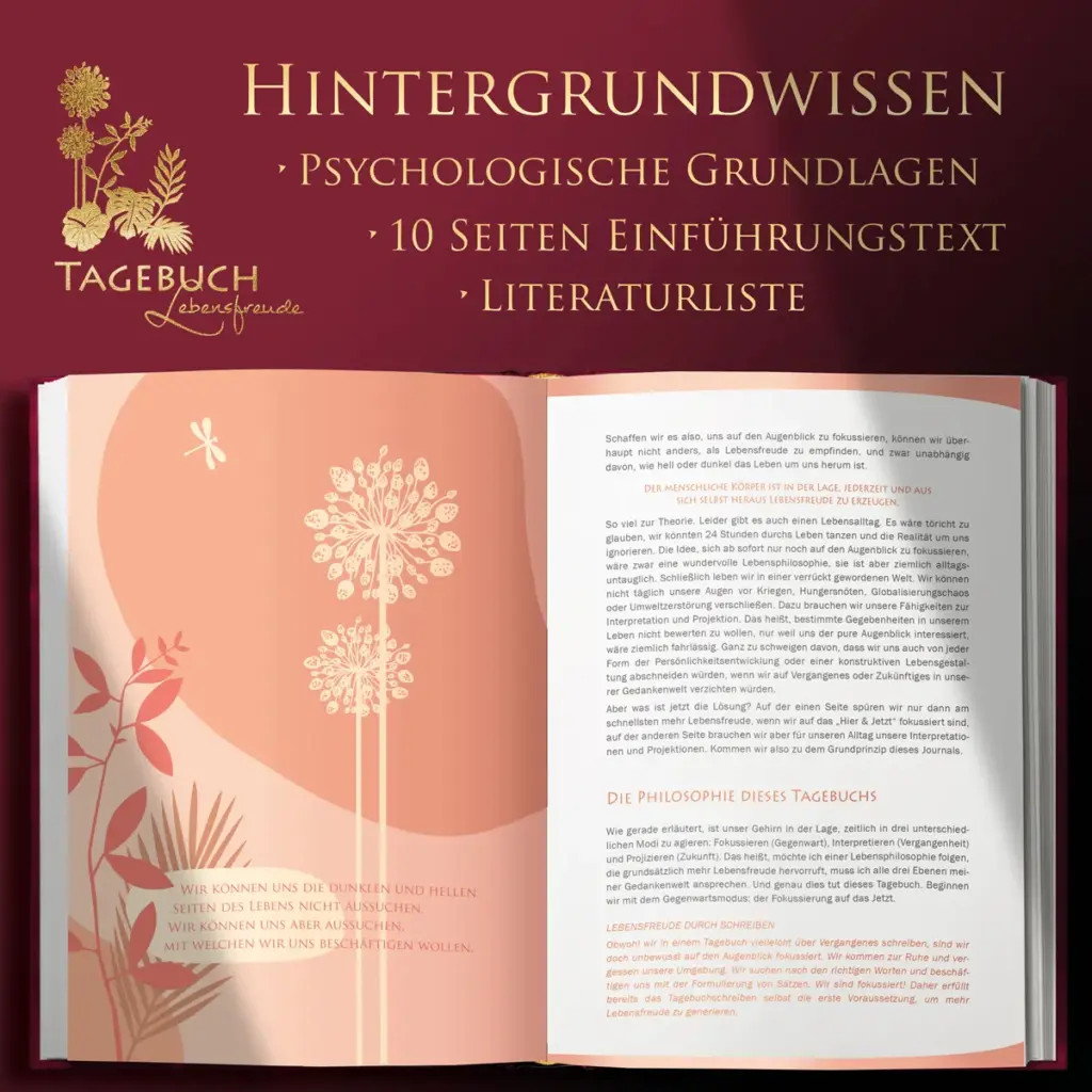 Sich in Minuten besser fühlen, Dankbarkeitstagebuch, Innenansichten 04