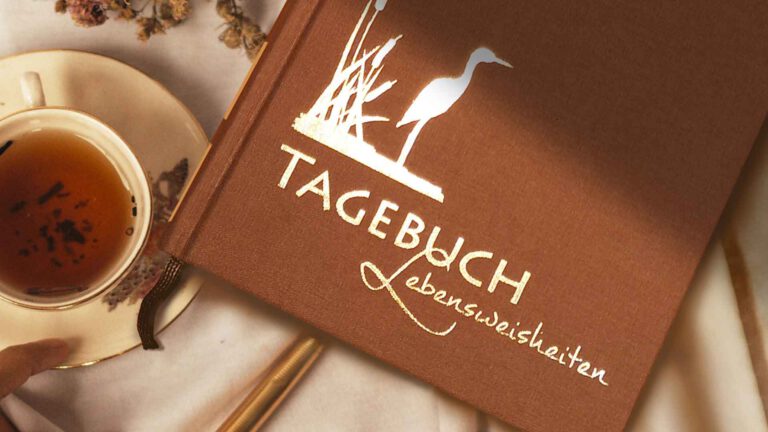 6 Empfehlungen für einen leichteren Einstieg ins Tagebuchschreiben, Cover eines Luca Tagebuchs