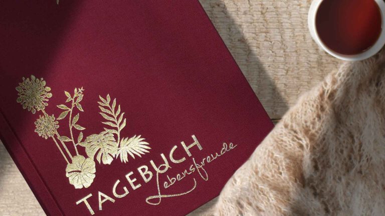 Unterschied: Tagebuch schreiben vs. Journaling, Cover eines Luca Tagebuchs