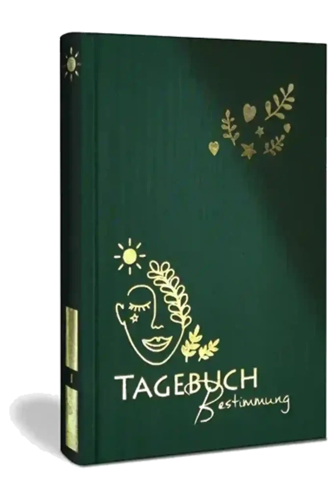 Erkenne die offenen Türen, die Dich zu Deiner Bestimmung führen, Luca Achtsamkeitstagebuch, Buchcover
