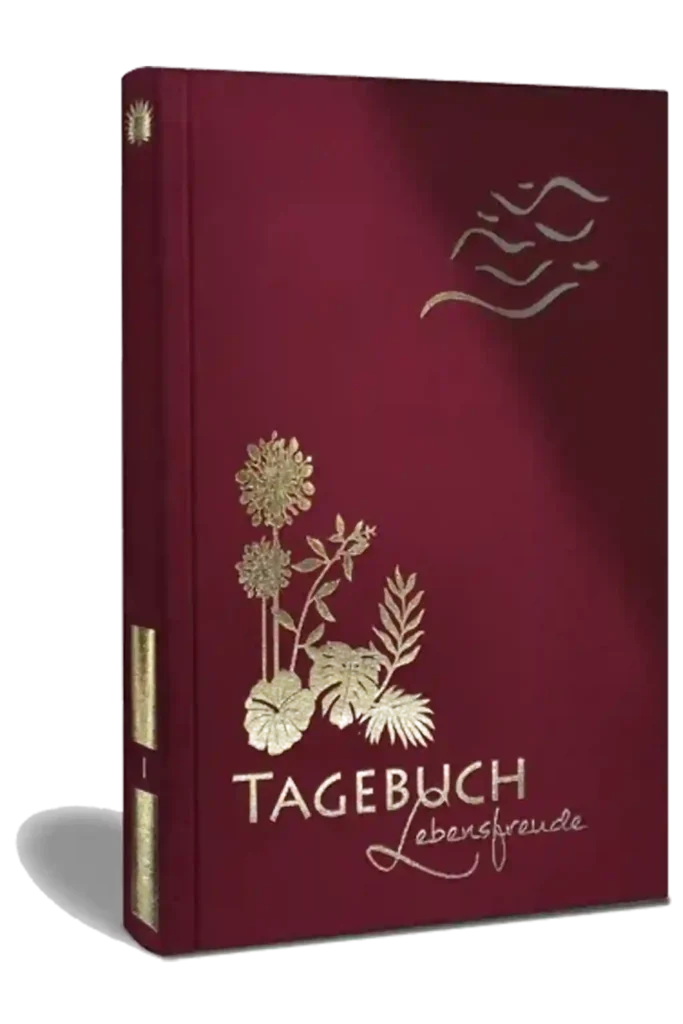 Sich in Minuten besser fühlen, Luca Dankbarkeitstagebuch, Buchcover