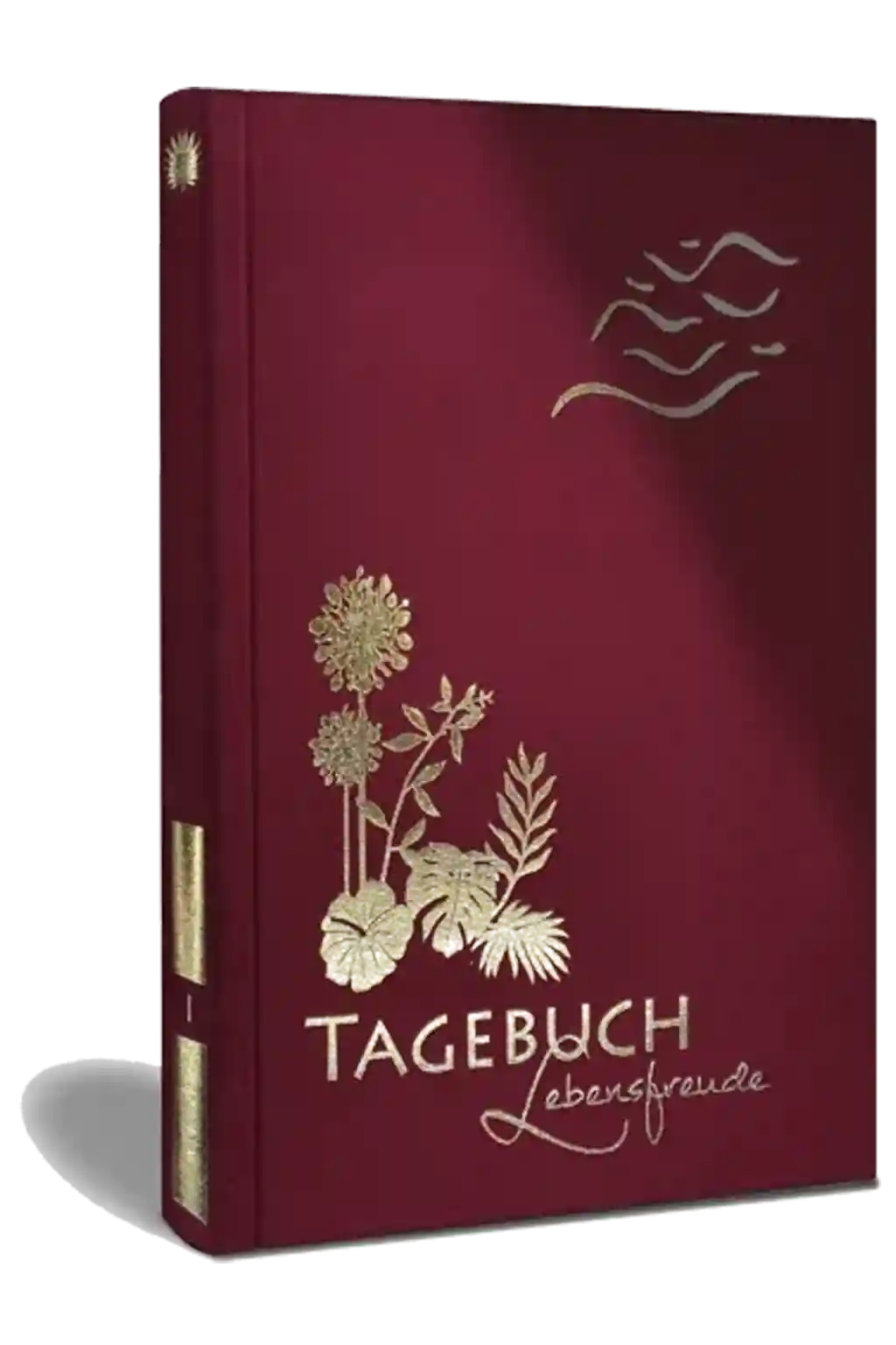 Sich in Minuten besser fühlen, Luca Dankbarkeitstagebuch, Buchcover